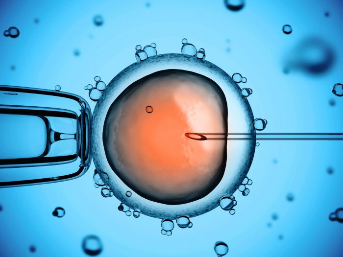 Artificial Embryo Created – No Egg, No Sperm, No Problem
