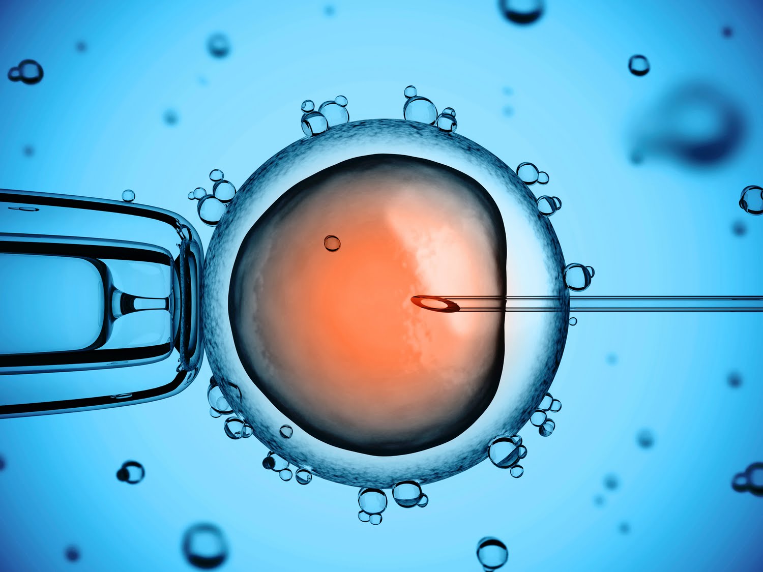 Artificial Embryo Created No Egg, No Sperm, No Problem