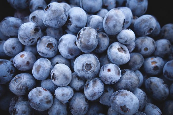 Diverse Health Benefits of Including Blueberries In Your Diet