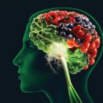 ‘Profound’ connection discovered between what you eat and brain power