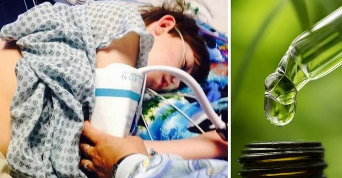 Boy Denied Life-Saving Treatment Because He Used Cannabis Oil to Treat Seizures