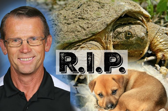 Snapping Turtle Euthanized After Teacher Fed it a Live Puppy in Front of Students