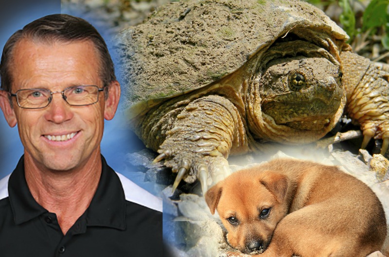 Teacher Accused of Feeding Live Puppy to Snapping Turtle In Front of Students