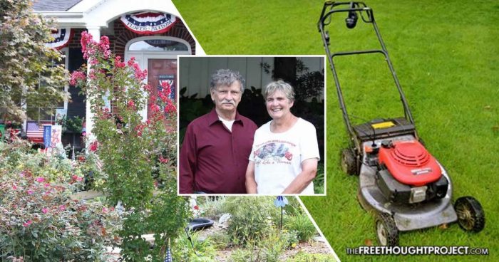 City Forces Elderly Homeowner To Replace Garden with Grass Lawn Even Though She’s Allergic To It