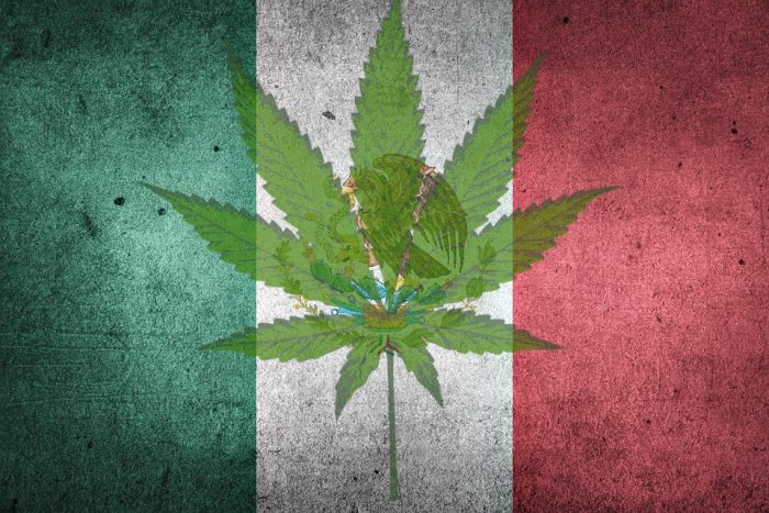 Mexico Floats Legalizing Pot, Drug Warriors Concerned