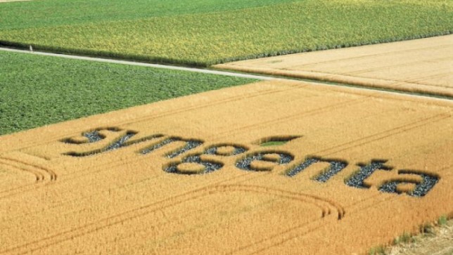 Syngenta to Pay Farmers $1.5 Billion in Massive GMO Corn Settlement