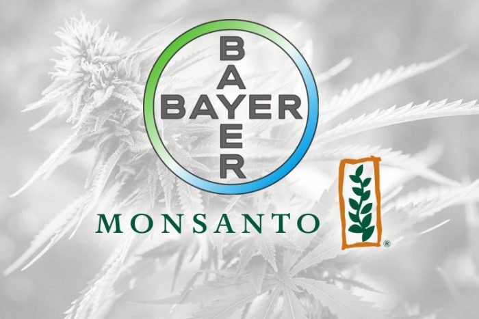 The Approved Monsanto-Bayer Merger Could Spell Disaster for a Budding Cannabis Industry