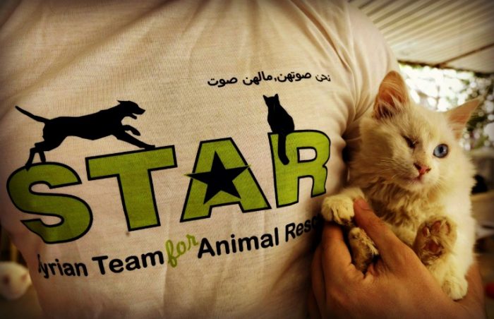 PayPal Nixes Donations To Animal Rescue In Syria But Our Money Still Funds Terrorists