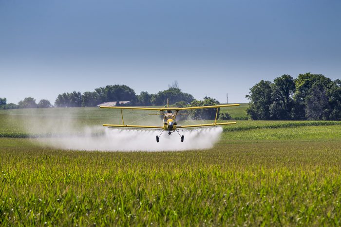 Celiac Disease Linked to Pesticides and Other Chemical Pollutants