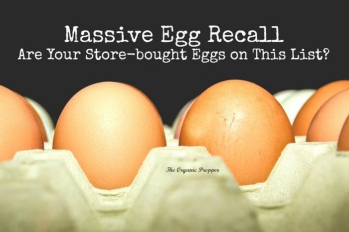 Massive Egg Recall: Are Your Store-bought Eggs on This List?