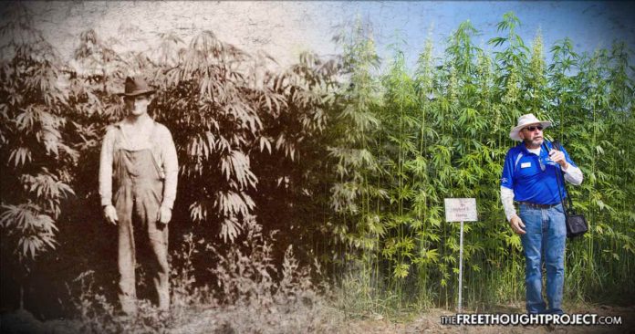 Hemp History: America’s Love-Hate Relationship With One of The Planet’s Most Useful Plants