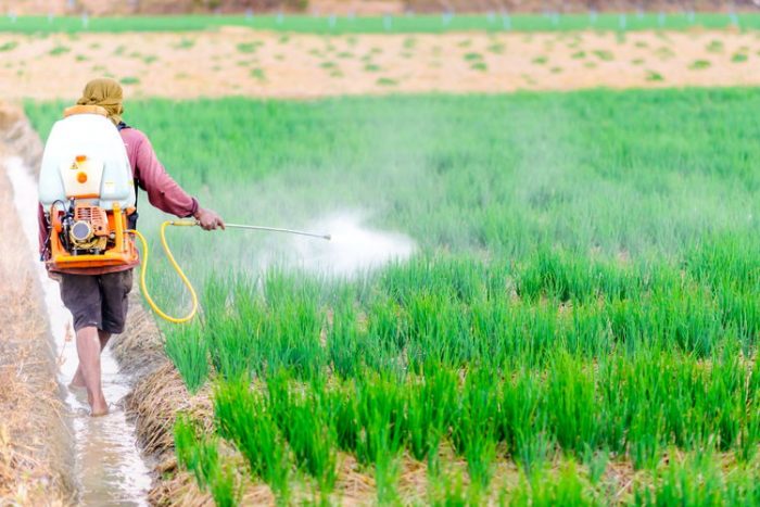 Pesticide Exposure Linked to Teen Depression in Agricultural Communities
