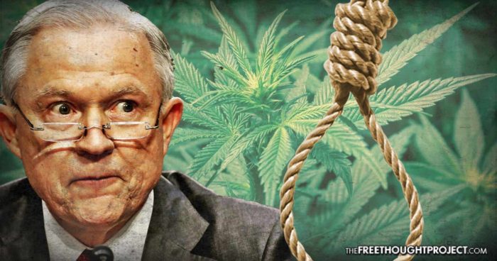 New Memo to Prosecutors Reveals Law Allowing Gov’t to Execute LEGAL Marijuana Growers