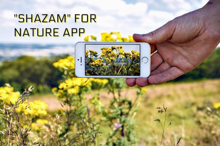Free “Shazam” for Nature App Identifies Plants and Animals From Your Phone