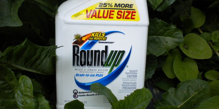 Glyphosate Hurts Gut Microbiome, Genes and Sexual Development at “Safe” Dose