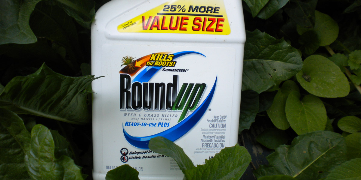 Roundup Weedkiller Hurts Gut Microbiome, Genes and Sexual Development at "Safe" Dose