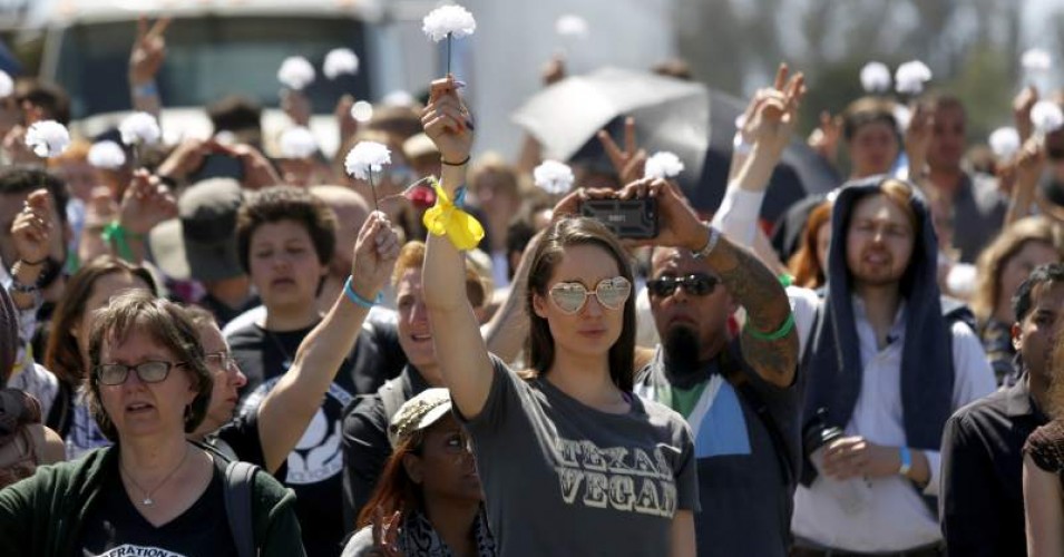 39 Arrested in Effort to Save Chickens From 'Horrific Cruelty' at