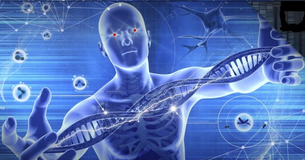 Government Mandated Human Genetic Modification in a Transhumanist Age