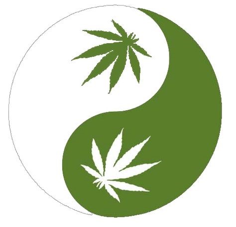 Cannabis Yin and Yang