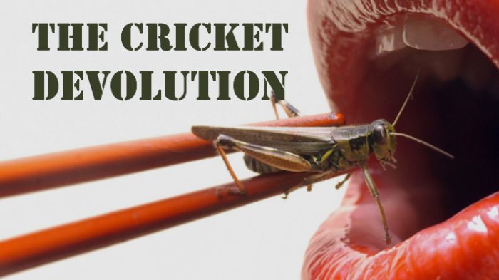 The Cricket Devolution