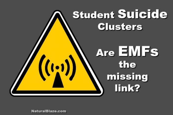 Student suicide clusters and its missing link