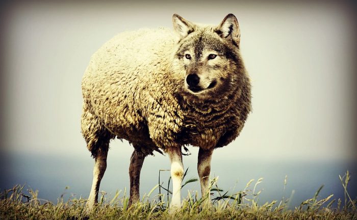 Beware the So-Called Mental Health “De-Stigmatization” Campaigns, Big Pharma in Disguise