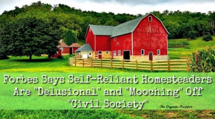 Forbes Says Self-Reliant Homesteaders Are “Delusional” and “Mooching” Off “Civil Society”
