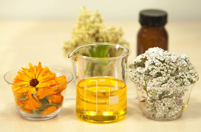 Why Your Medicinal Herb Kit Should Have Yarrow