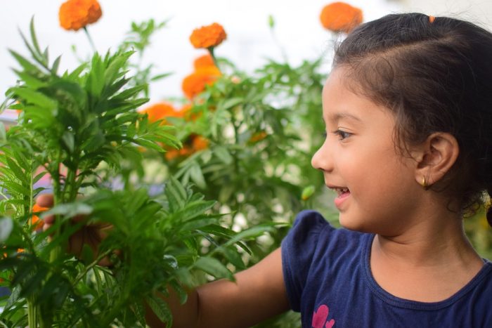 Vegetable Consumption Increases When Children Learn To Garden