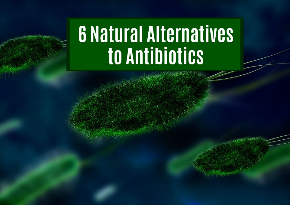 6 Natural Alternatives Antibiotics