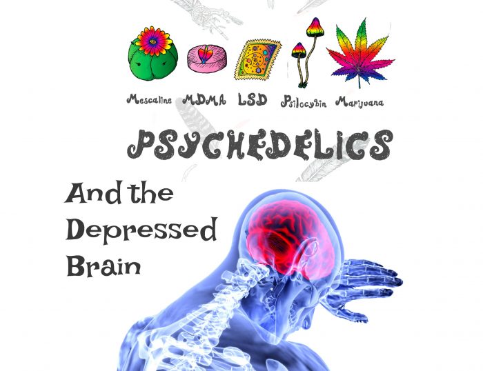 Psychedelics Shown to Heal Damaged Brain Cells from Depression