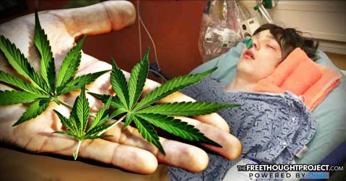 Parents Jailed, 15-Year-Old Kidnapped by Gov’t, For Using Cannabis to Stop His Seizures
