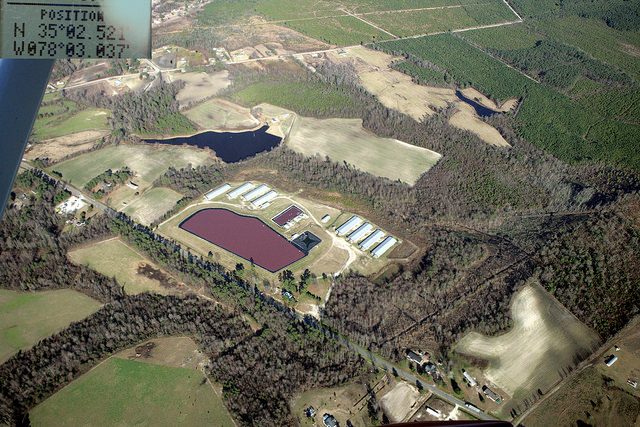 Rural Americans Breathe Life Into the Fight Against Factory Farm Polluters