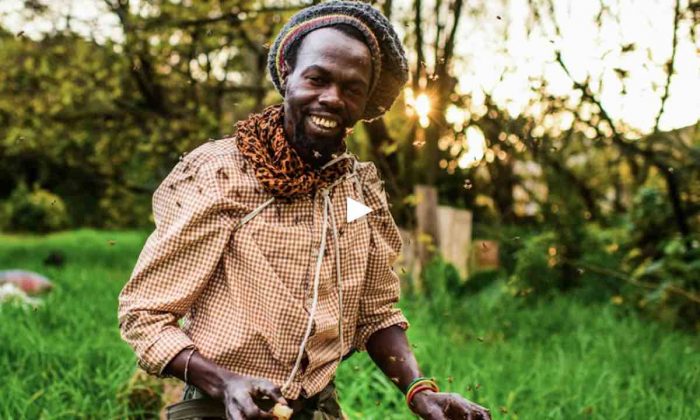 Man Runs Backwards in Marathons to Save the Bees