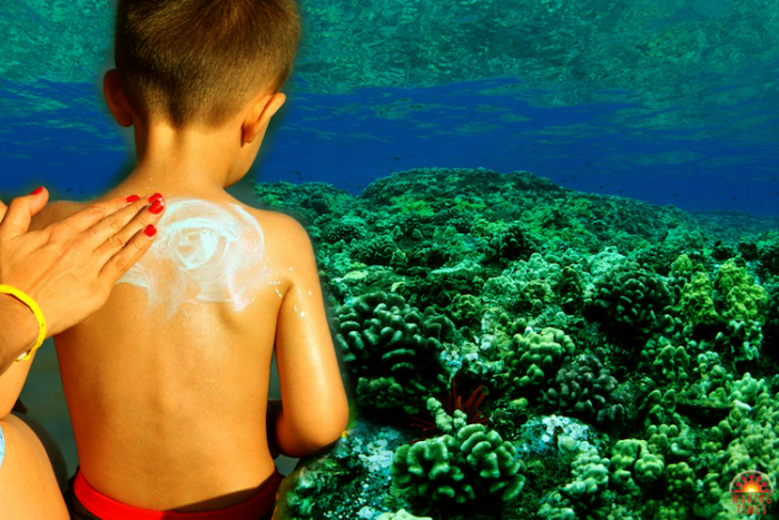 Sunscreens Release Metals and Inorganic Nutrients Into Seawater