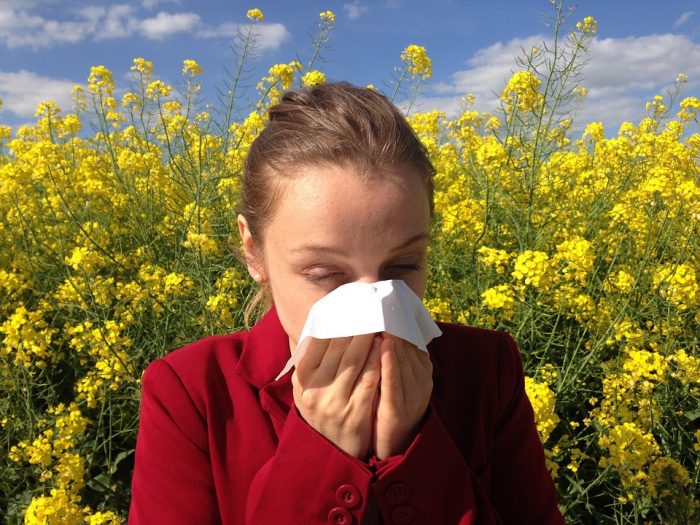 13 Best Home Remedies for Hay Fever