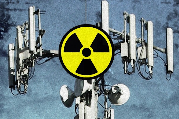 Cancer Link Confirmed in Largest Ever Cell Tower Radiation Study Cell-Phone-Tower-Radiation