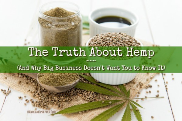 The Truth About Hemp (And Why Big Business Doesn’t Want You to Know It)