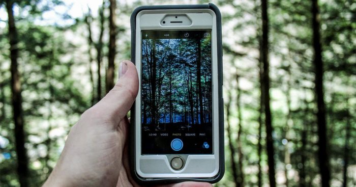 Our Cellphone Addiction Is Turning Wireless Tech Into an Invisible Weapon That’s Destroying Wildlife