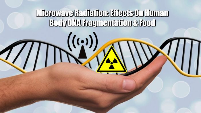 Macromolecules & Microwave Radiation: Effects On Human Body DNA Fragmentation & Food