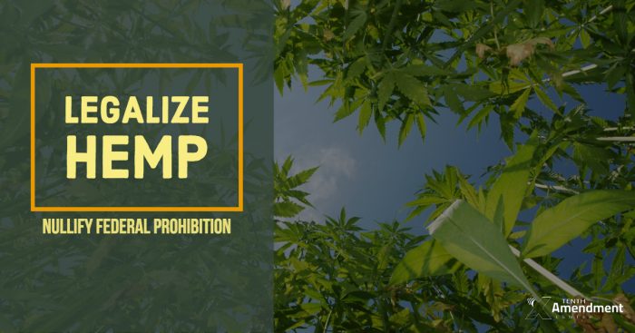 Hemp and CBD Industry Growing Rapidly in Vermont