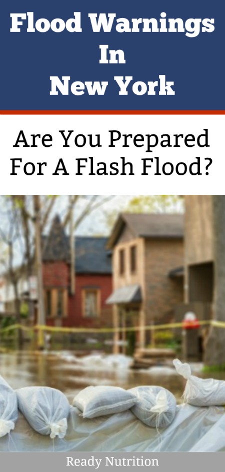 ready nutrition - flash flood - ny pin