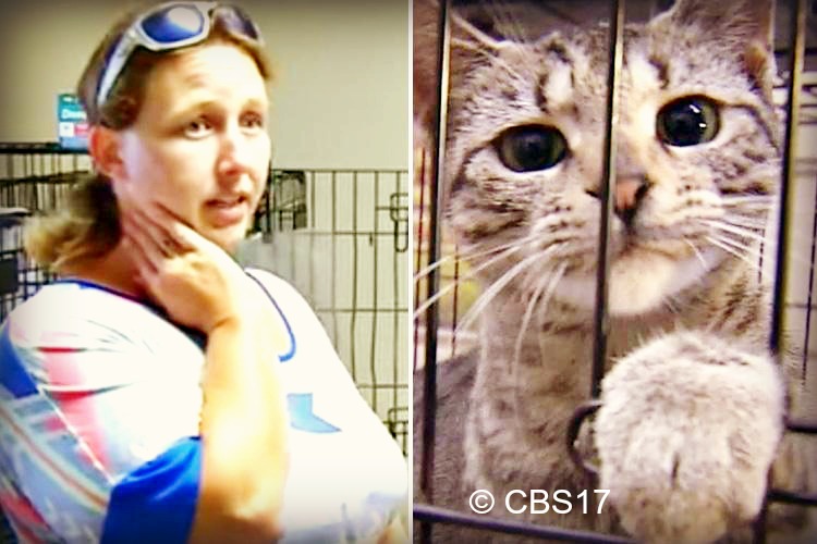 NC Woman ARRESTED for Saving 27 Cats and Dogs Without Permission (And How You Can Help)