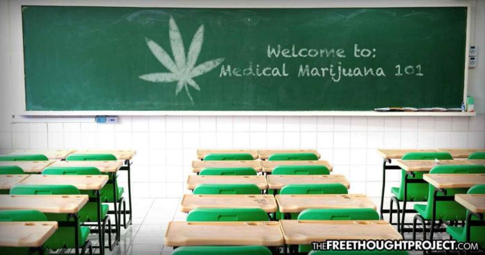 As Families Become Outlaws to Treat Epilepsy with Cannabis, Colorado Kids Can Now Bring It To School