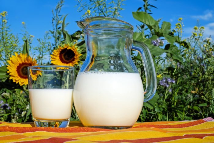 Which Milk Alternatives Are Worthy of Your Consideration?