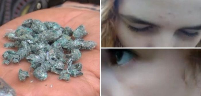 Father Furious After Helicopter Drops Bizarre Pellets on His Children and Organic Farm
