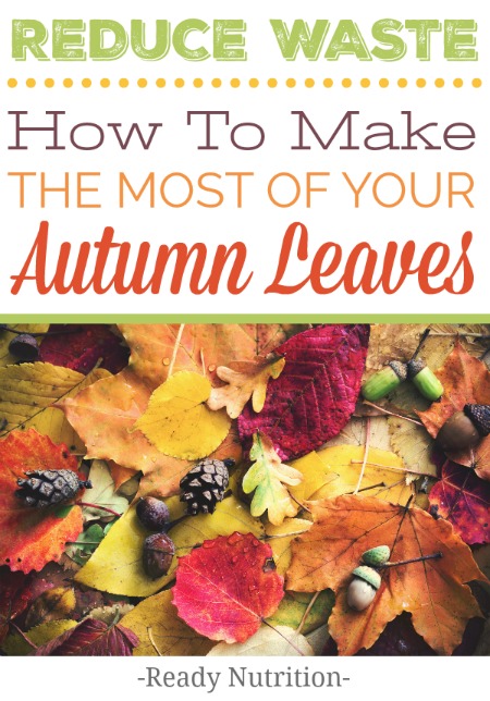 This is a great way to make use of all of those gorgeous fall leaves laying around your yard.