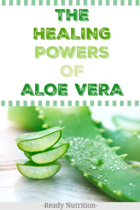 If you are interested in natural remedies, chances are you are familiar with aloe vera. Maybe you have used it after you've had too much sun, or you keep a tube of gel in your first aid kit for burns and wound care. But did you know the plant has many other uses?