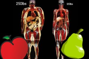 apple pear body shape