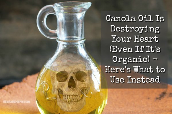 Canola Oil Is Destroying Your Heart (Even If It’s Organic) – Here’s What to Use Instead
